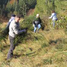 Landschaftspflegeaktion; Foto Susanne Kopf, Landschaftsentwicklungsverband Mittlerer Schwarzwald e.V.