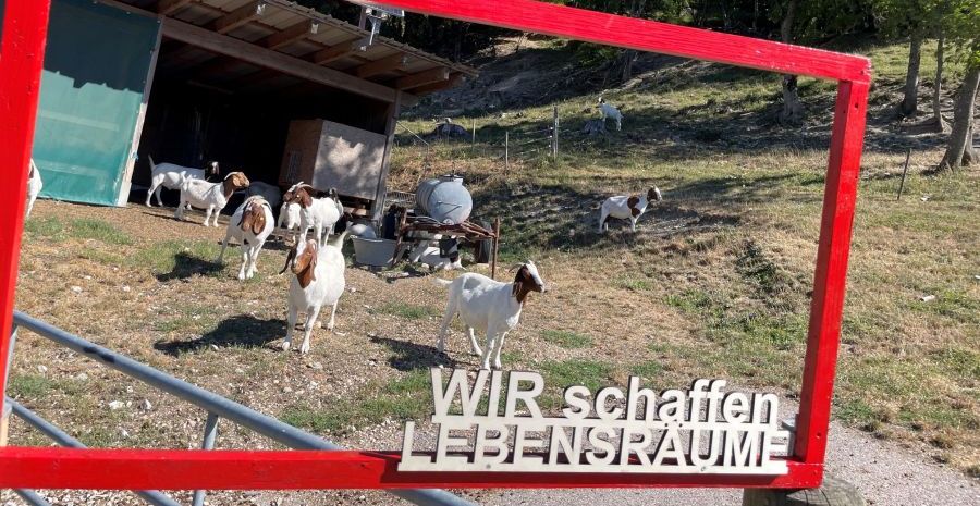 Exkursion mit dem LEV Ostalbreis e.V.;